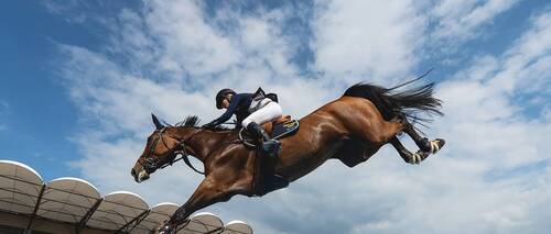 Euro Equestrian Rider Welcome to the European Equestrian Federation website