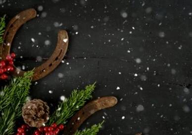 Season's Greetings 2025