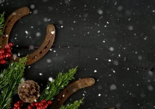 Season's Greetings 2025