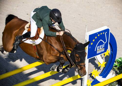 European Equestrian Federation Announces 2026 Working Group Appointments