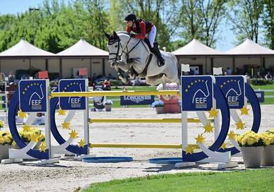 More Than a Clear Round: What Makes a Great Nations Cup Horse?