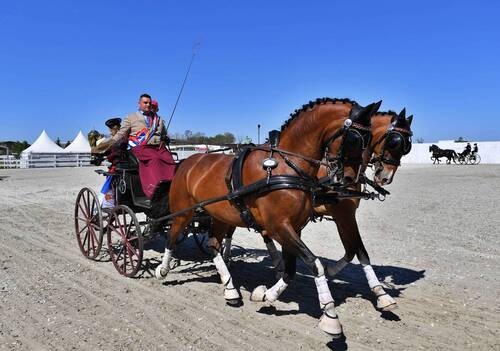 Serbia Secures Double Victory at 2026 Balkan Driving Championships in Kovačica