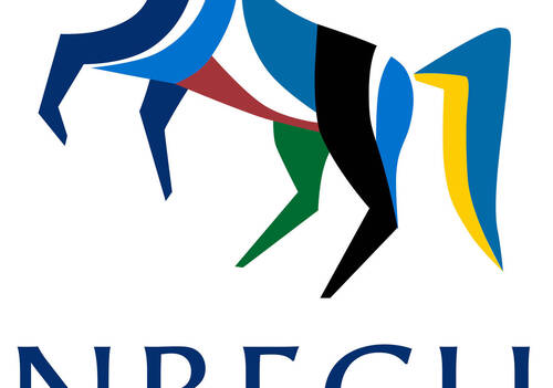 New logo for the Nordic-Baltic Equestrian Championships – youth teams chose the winning entry from Finland