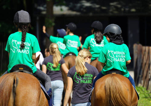 Social Licence in Action: Work like a Horse