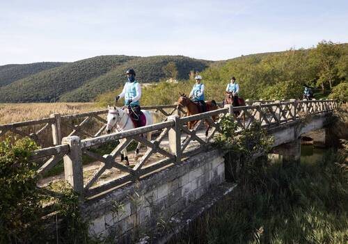 Barban (CRO) Hosts Triumphant Balkan Endurance Championships