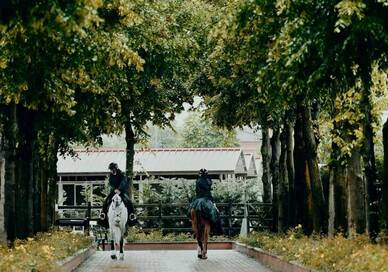 The Team Behind the Team: The Veterinary Care Keeping Nations Cup Horses at the Top