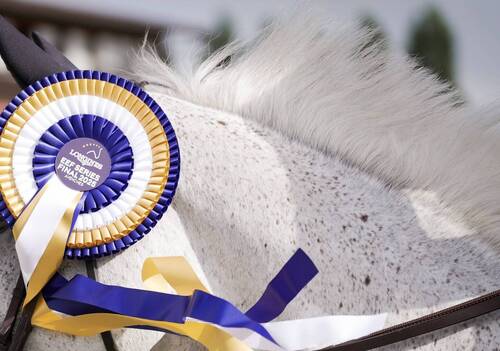 Starting Order Revealed for the Longines EEF Series Final