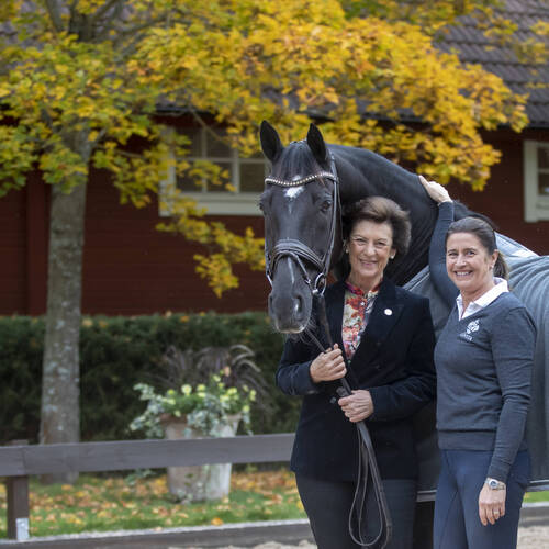 Sustainability in action: How Swedish stable Lövsta Stuteri are putting sustainability into the heart of their business