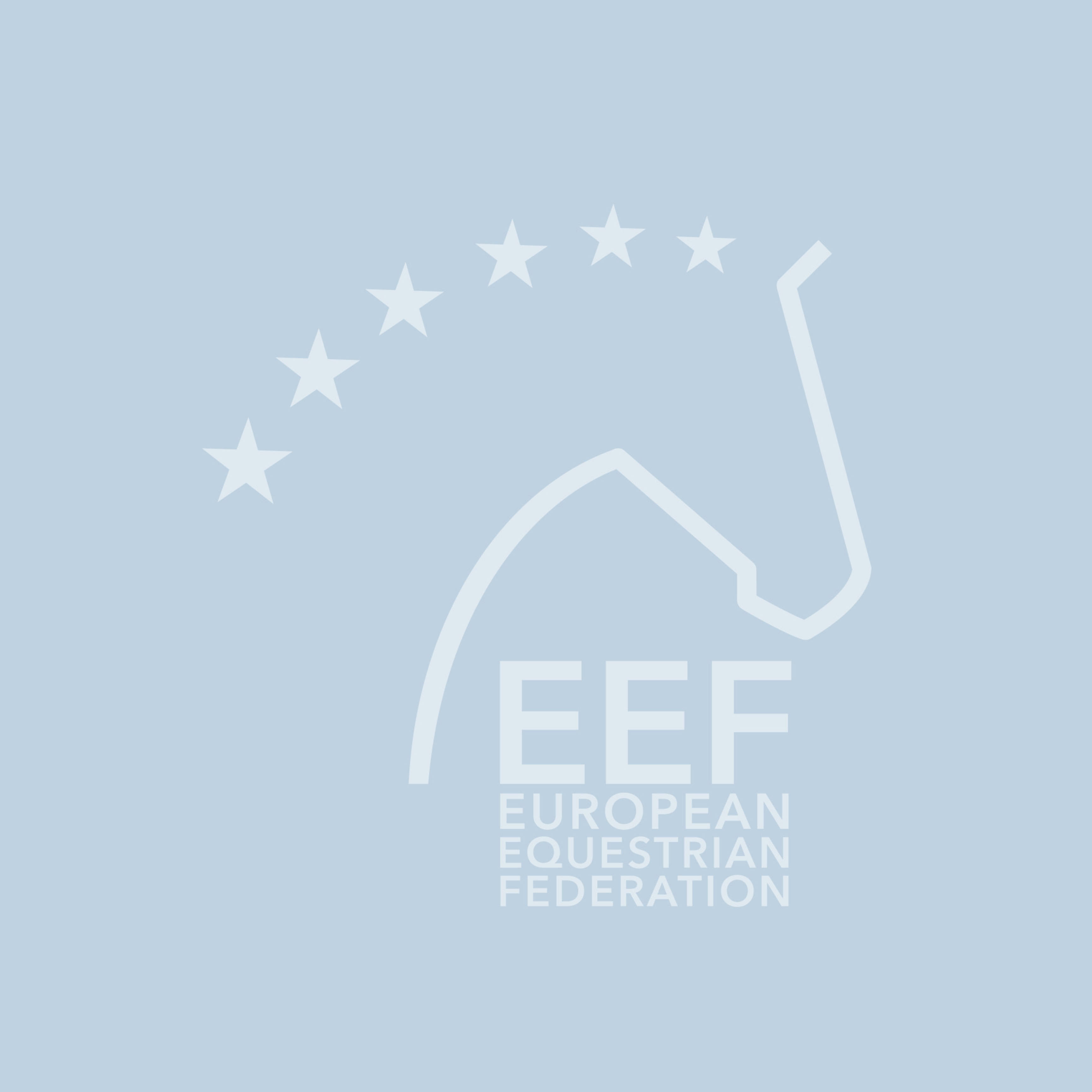 EEF Board video conference on 11.07.2023