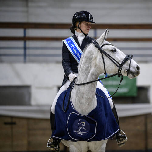 EEF Dressage Evolution Team competition success in Slovakia