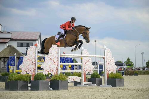 Gilles Thomas and Riesling Van T Roosakker secured the victory for Team Belgium in the Longines EEF Series region west qualifier in Lier (BEL) on Friday 8 May 2026. © EEF