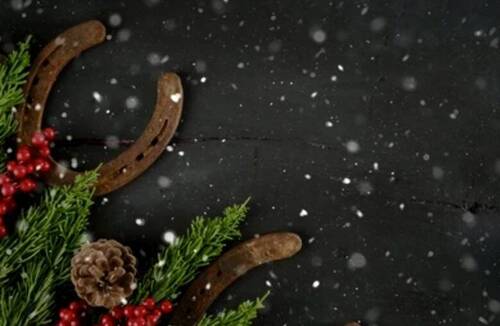 Season's Greetings 2025