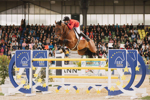 Swiss jumping in mannheim