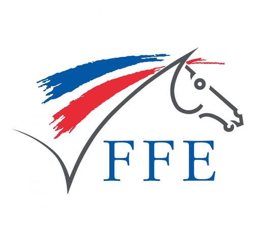 FFE logo
