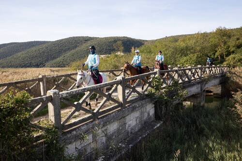 Balkan Endurance Championships 2025 Barban, Istria (CRO) © Goran Šebelić / Boris Ščitar