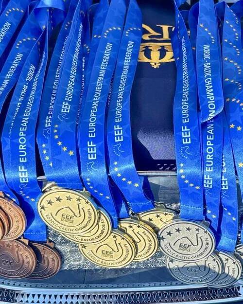 NBECH medals