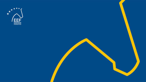 European Equestrian Federation