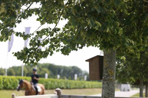 Peelbergen partnered with local communities to install birdhouses across the property, supporting biodiversity preservation. © Peelbergen