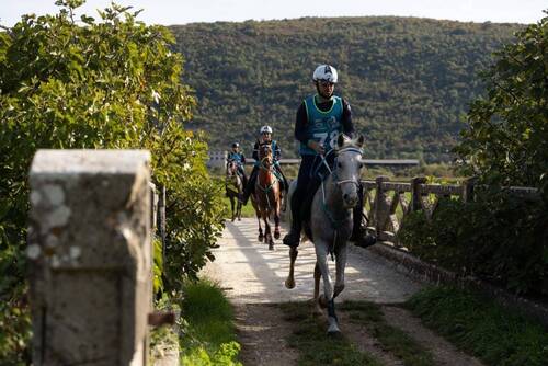 Images: Balkan Endurance Championships 2025 Barban, Istria (CRO) © Goran Šebelić / Boris Ščitar