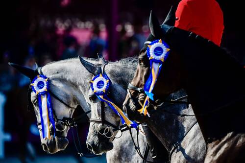 Longines EEF Jumping Nations Cup Final 2024