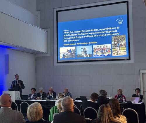 Quentin Simonet (FRA) presents his candidacy to the EEF member federations during the Extraordinary General Assembly in Frankfurt, Germany on Monday 19 May 2025. © EEF