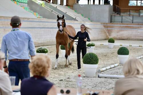Vet inspection at the Longines EEF Series 2025 Final. © EEF