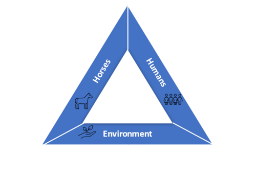 Three pillars of sustainability